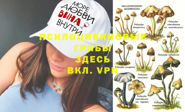 амф Абдулино