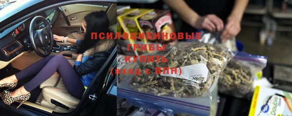 дмт Абаза