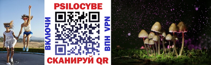Псилоцибиновые грибы Magic Shrooms купить наркоту Шарья