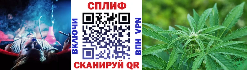 Бошки Шишки сатива цена наркотик Шарья